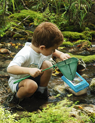 about-us naturerocks